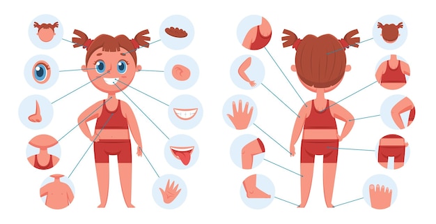 Girl body parts learning face parts for children child body part for teaching illustration