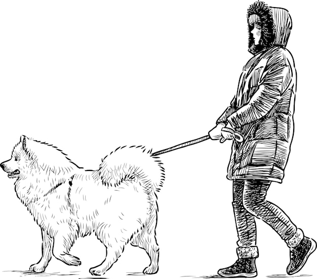 Girl and her dog walking for a stroll