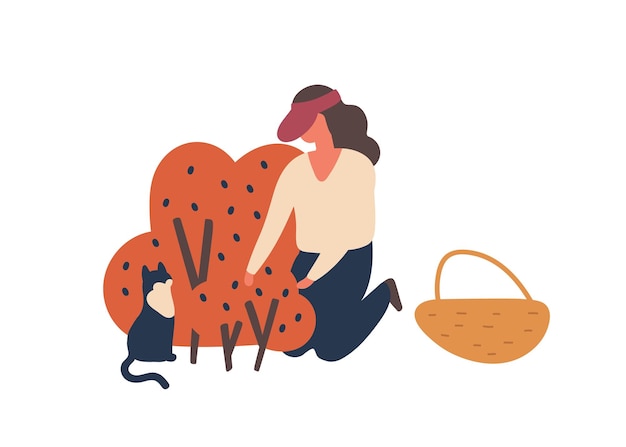 Vector girl picking forest berries flat vector illustration. woman gathering blueberries harvest isolated design element. female gardener and cat cartoon characters. fall fruits crop, produce.