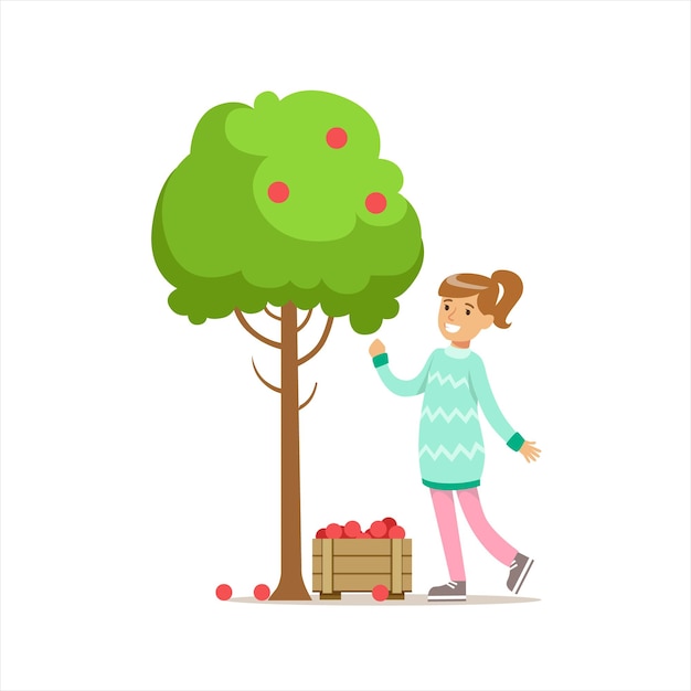 Girl Picking Up RIpe Red Apples From The Tree Helping In EcoFriendly Gardening Outdoors Part Of Kids And Nature Series