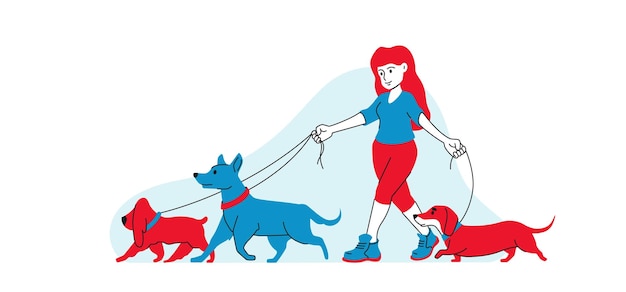 Girl walks with dogs holding them by the leash Dogs walking flat line graphic style