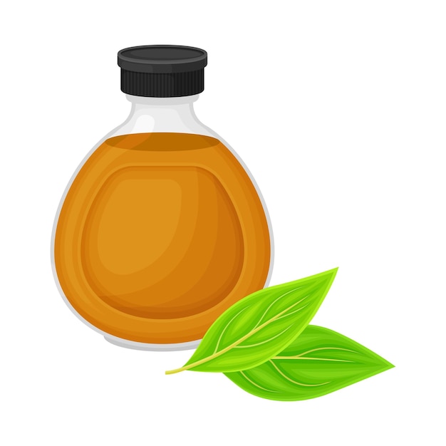 Glass bottle with essential oil of sandalwood and leafy tree branch rested nearby vector