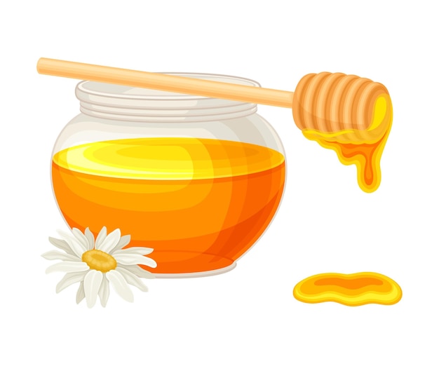 Glass Jar Full with Honey and Daisy Flower Rested Nearby Vector Illustration