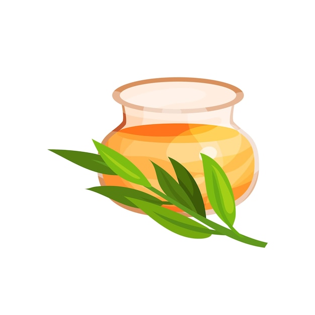 Glass jar of honey and branch of eucalyptus herb cartoon vector Illustration on a white background