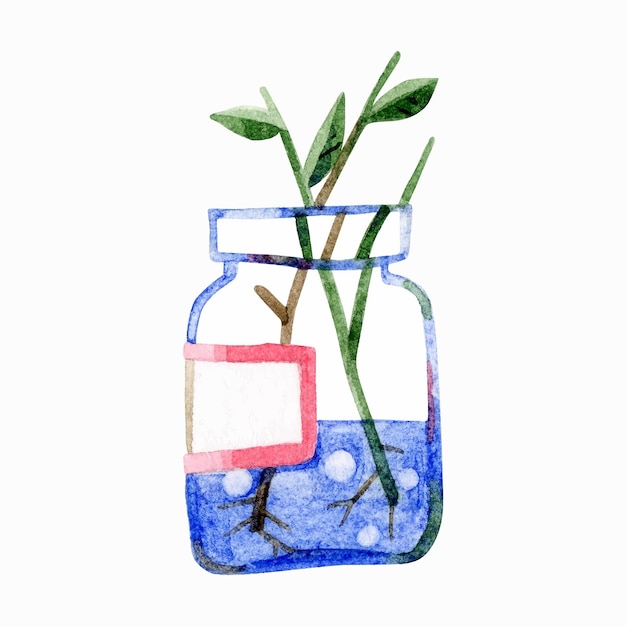 Glass jar with branches