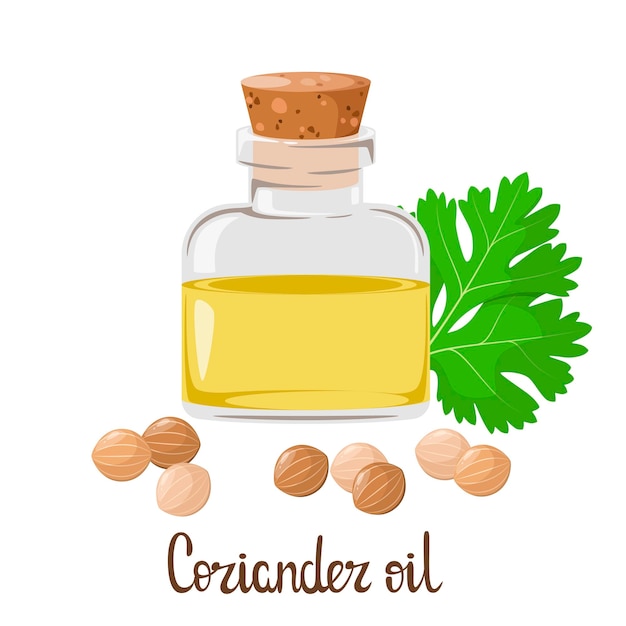 Glass jar with coriander oil on a white background. Cartoon design.