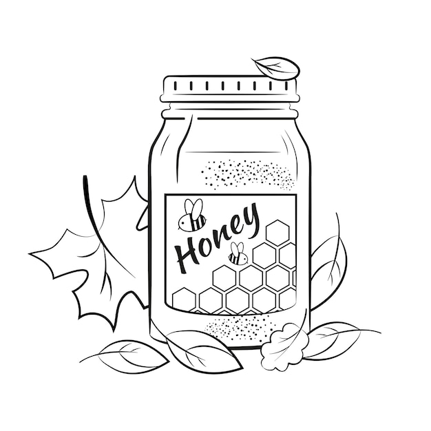 Glass jar with honey surrounded by autumn leaves. Image coloring.