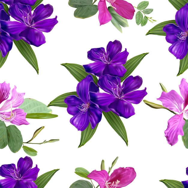 Glory bush and bauhinia  flowers seamless pattern