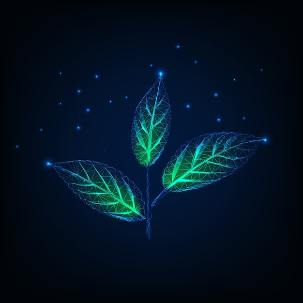 Glowing  low poly plant with stem and green leaves 