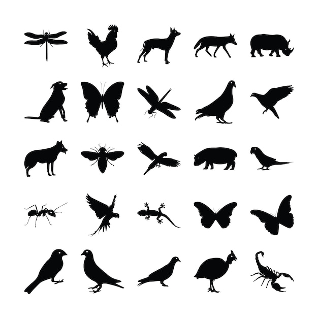 Glyph pictograms Of Animals