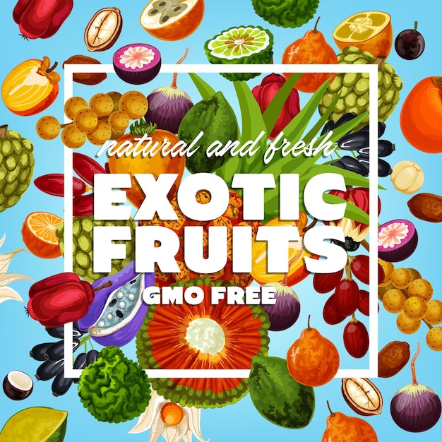 Vector gmo free exotic fruits and berries