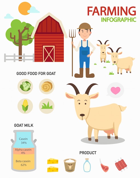 Goat farm infographics,illustration