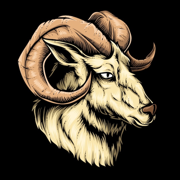 Goat head vector