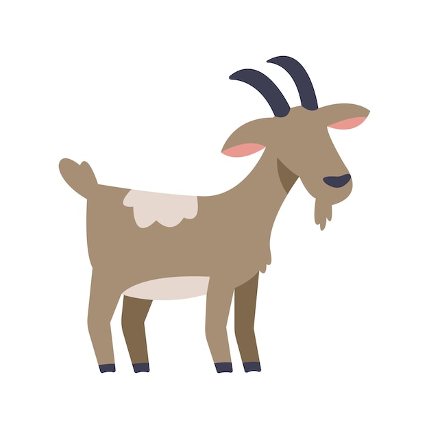 Goat Illustration