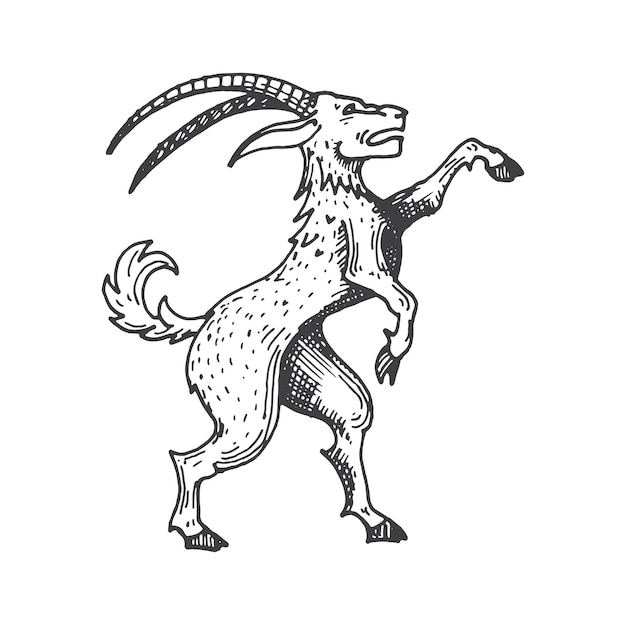 Goat medieval heraldic animal sketch symbol