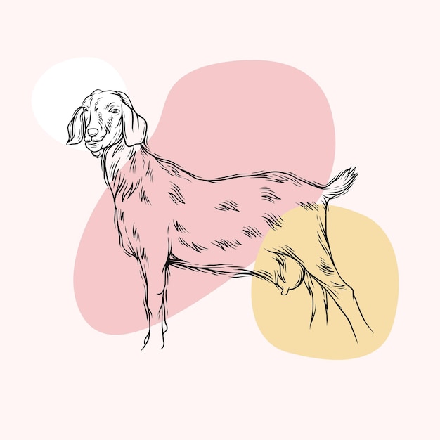 Goat minimal design in line art style