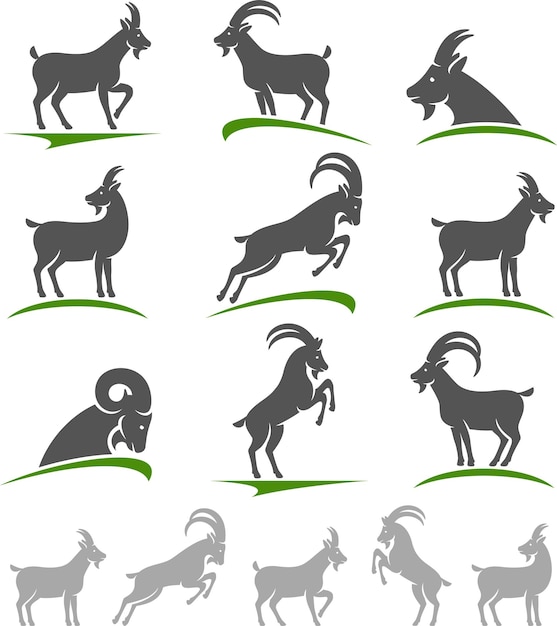 Goat set Vector