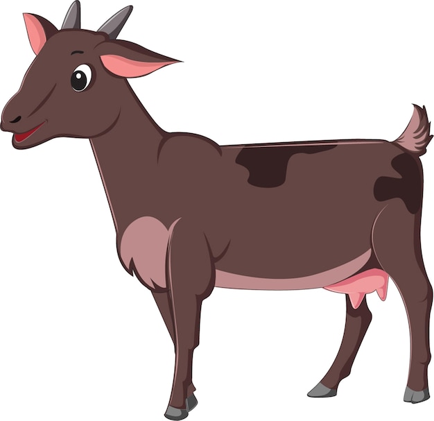 Goat vector illustration