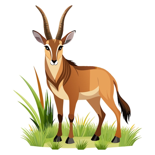 a goat with horns and horns stands in the grass