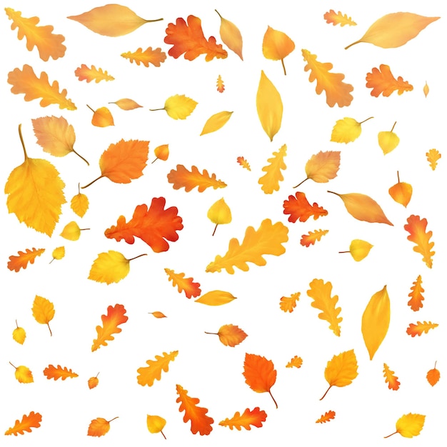 Gold Autumn background Golden maple and oak leaves Vector paper illustration