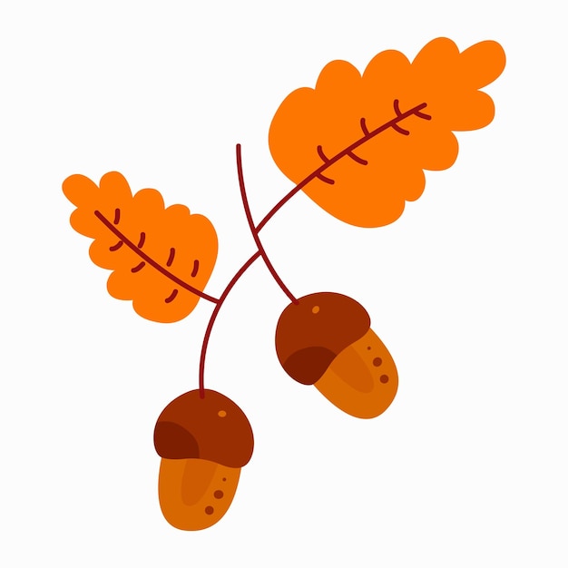 Gold autumn leaves and acorns on oak tree branch Flat vector illustration isolated on white