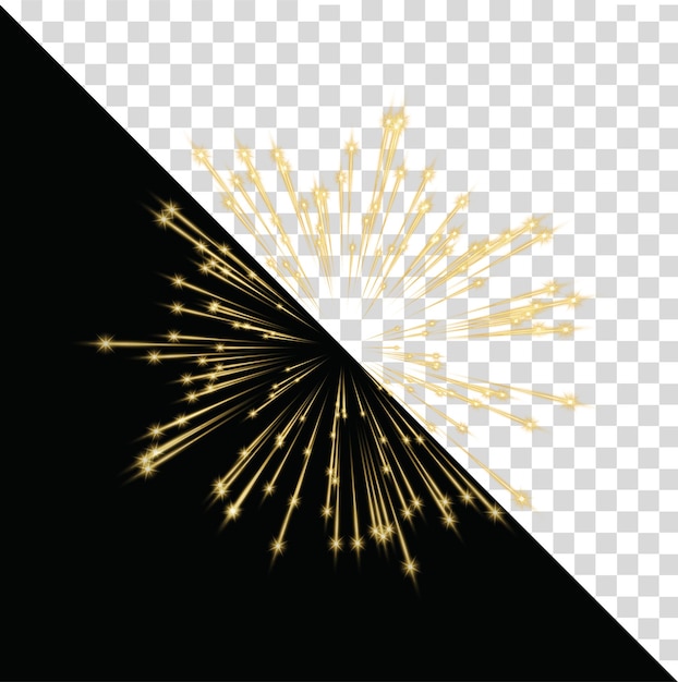 Vector gold firework