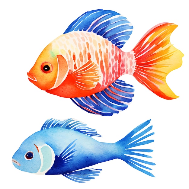 gold fish vector illustrations