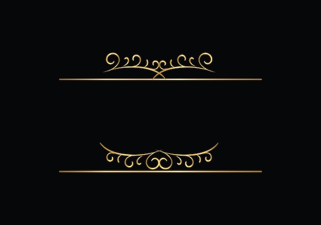 A gold frame with a floral border on a black background