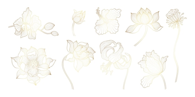 Gold outline flowers Asian golden lotus yoga floral bloom art elements Indian flower orchid and leaves Oriental exotic plants nowaday vector set