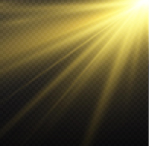 Gold sun rays Yellow star flare glare Golden sparkle Sunlight special lens flash light effect Vector