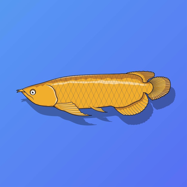 Golden arowana fish vector illustration