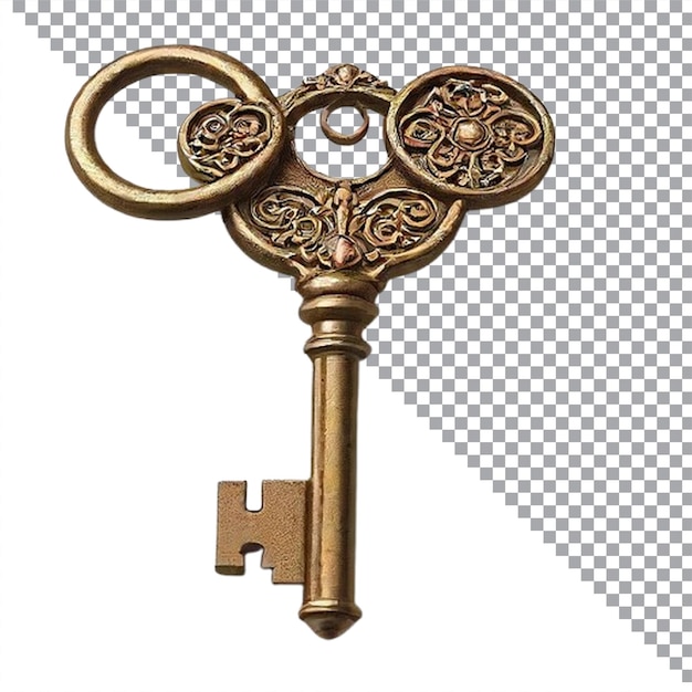 Vector a golden key that is made by the company of the company