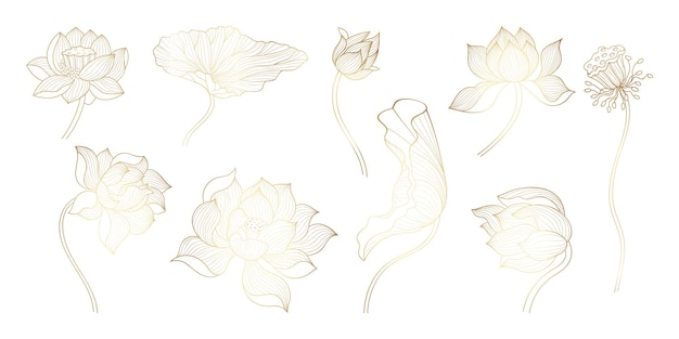 Golden line lotus Gold sketch bloom flowers unique flowers design Beautiful decorative art lotuses chinese or indian luxury symbols nowaday vector set