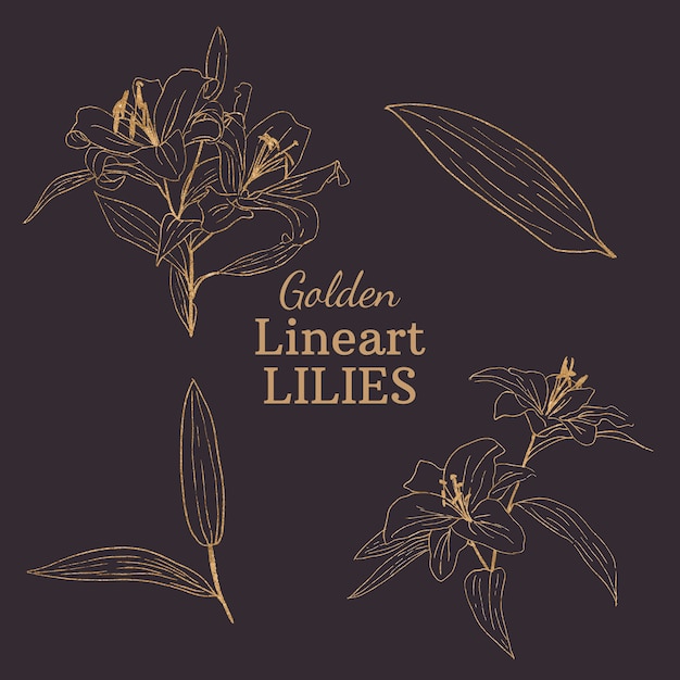 Golden Lineart Lilies