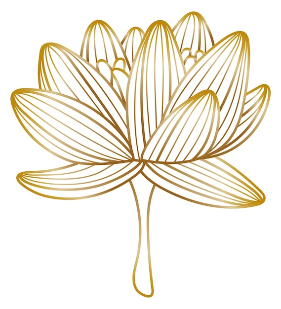 Golden lotus flower with line texture Decorative floral element isolated on white background