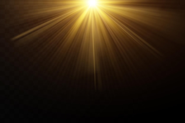 Golden particles of light. Golden light. Light flare.Stars isolated on transparent background.