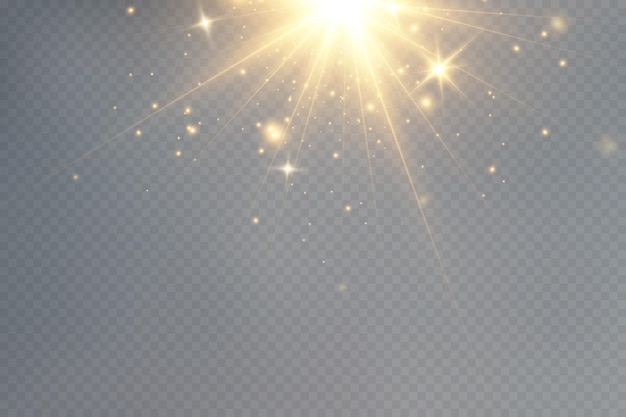 Golden particles of light. Golden light. Light flare.Stars isolated on transparent background