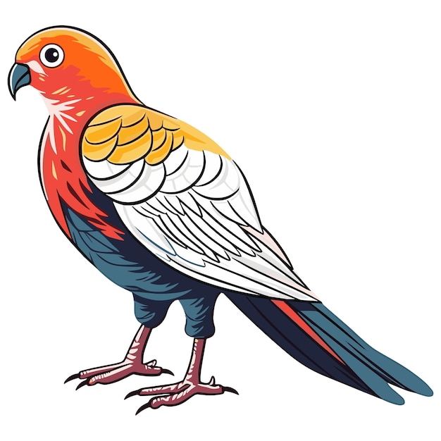 Golden pheasant vector art Illuminate your designs with exquisite detail and radiant colors