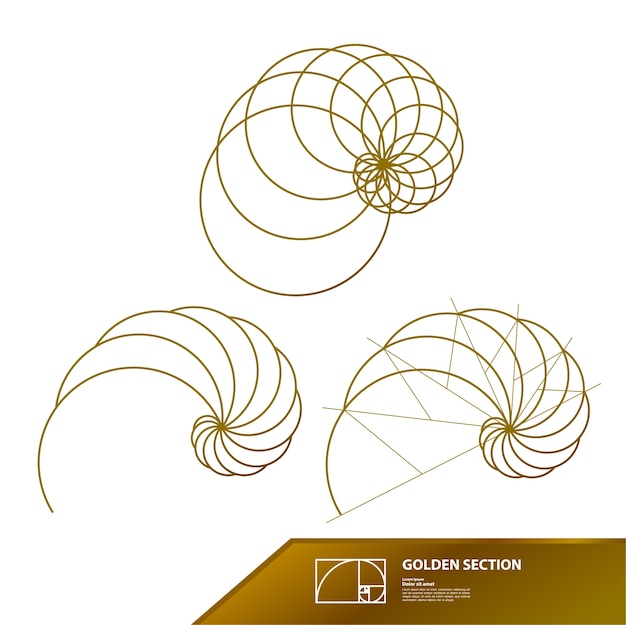 Golden ratio for creative design .