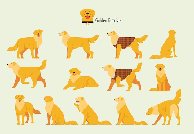 Golden Retriever Behavior Bundle Set flat vector illustration