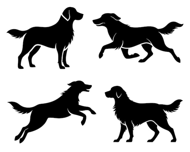 Golden Retriever Dog collection silhouette black vector on white background