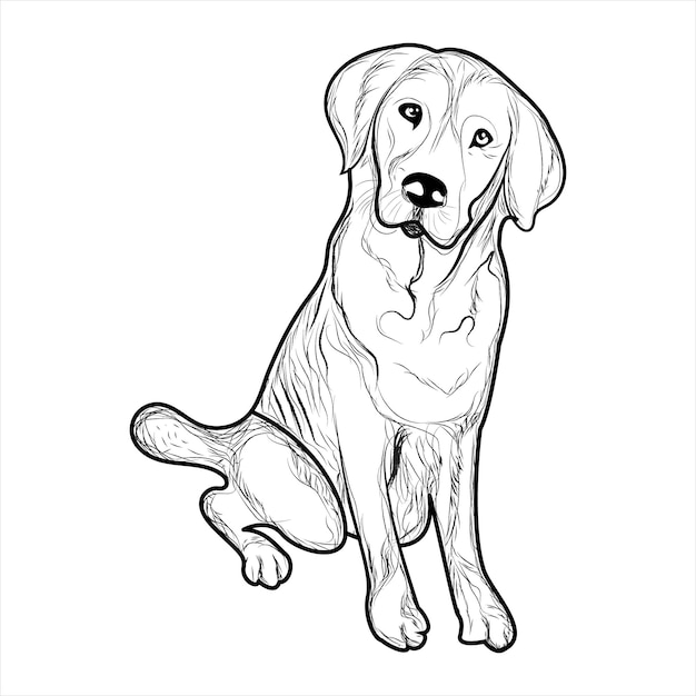 Vector golden retriever dog coloring books pages for kids