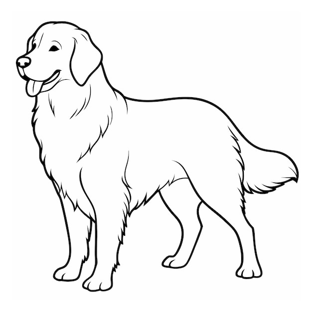 Vector golden retriever dog vector styleclipart illustration with white background