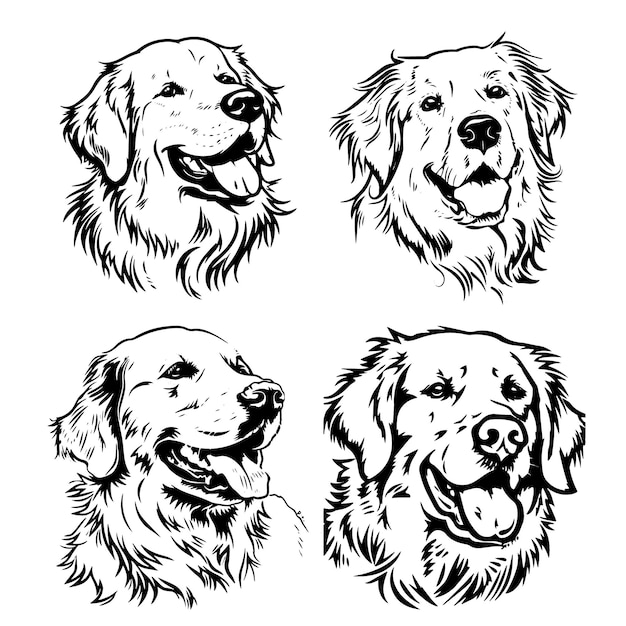 Vector golden retriever silhouette vector illustration