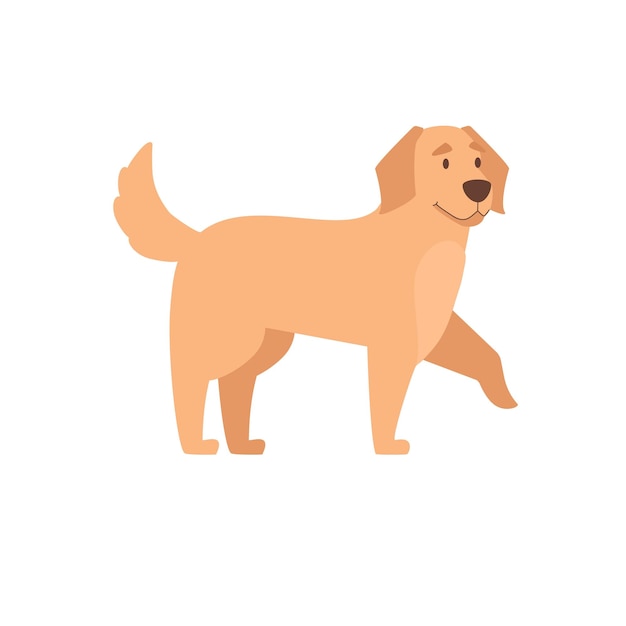 Golden retriever vector illustration in cartoon style on white background