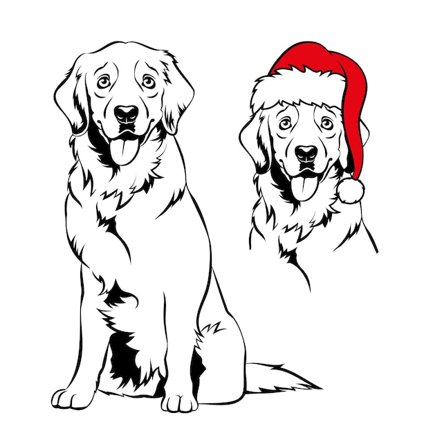 Golden retriver with Santa hat