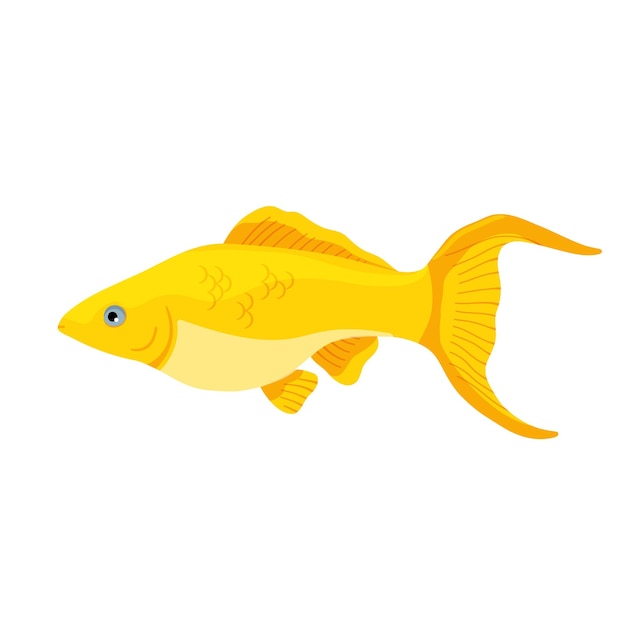 Golden yellow aquarium fish clip art Vector illustration in cartoon style is isolated on white background