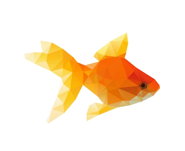 Goldfish low polygon