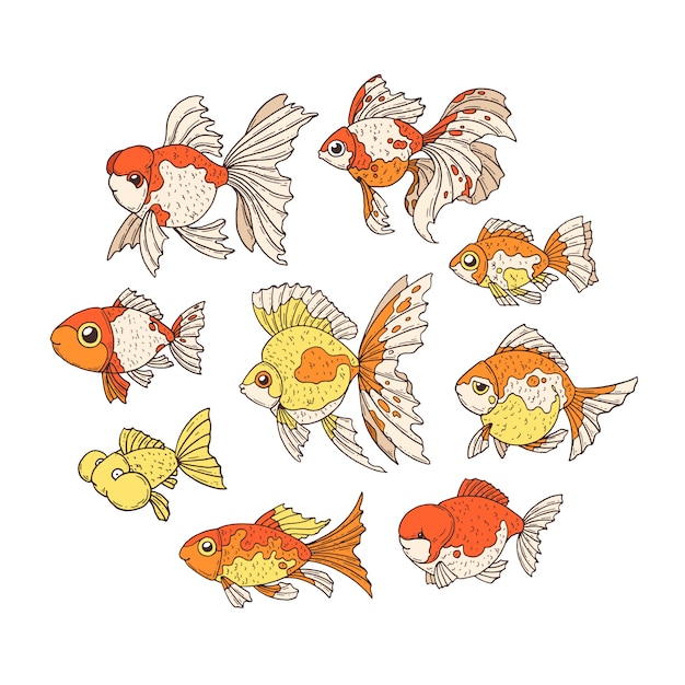 Goldfish.