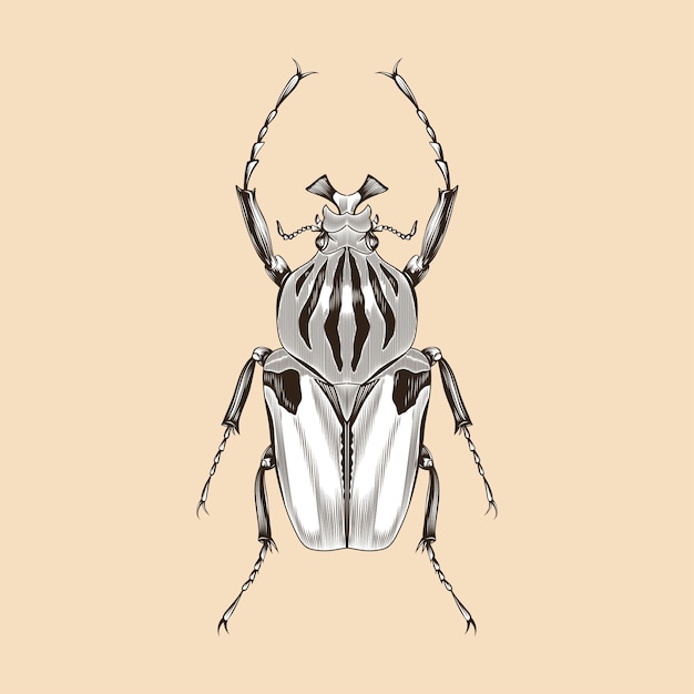 Goliathus male illustration vector flat design